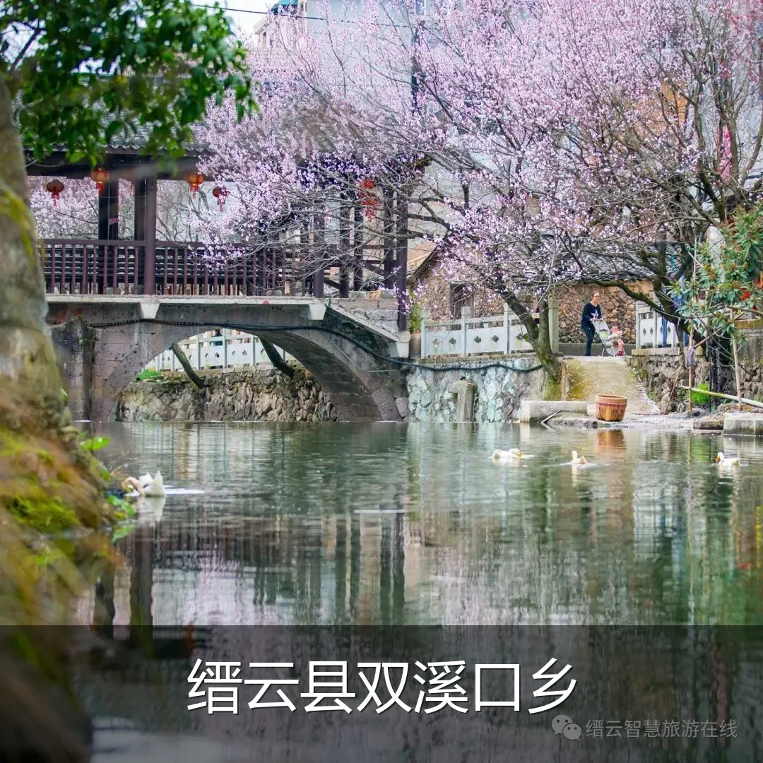缙云县双溪口乡