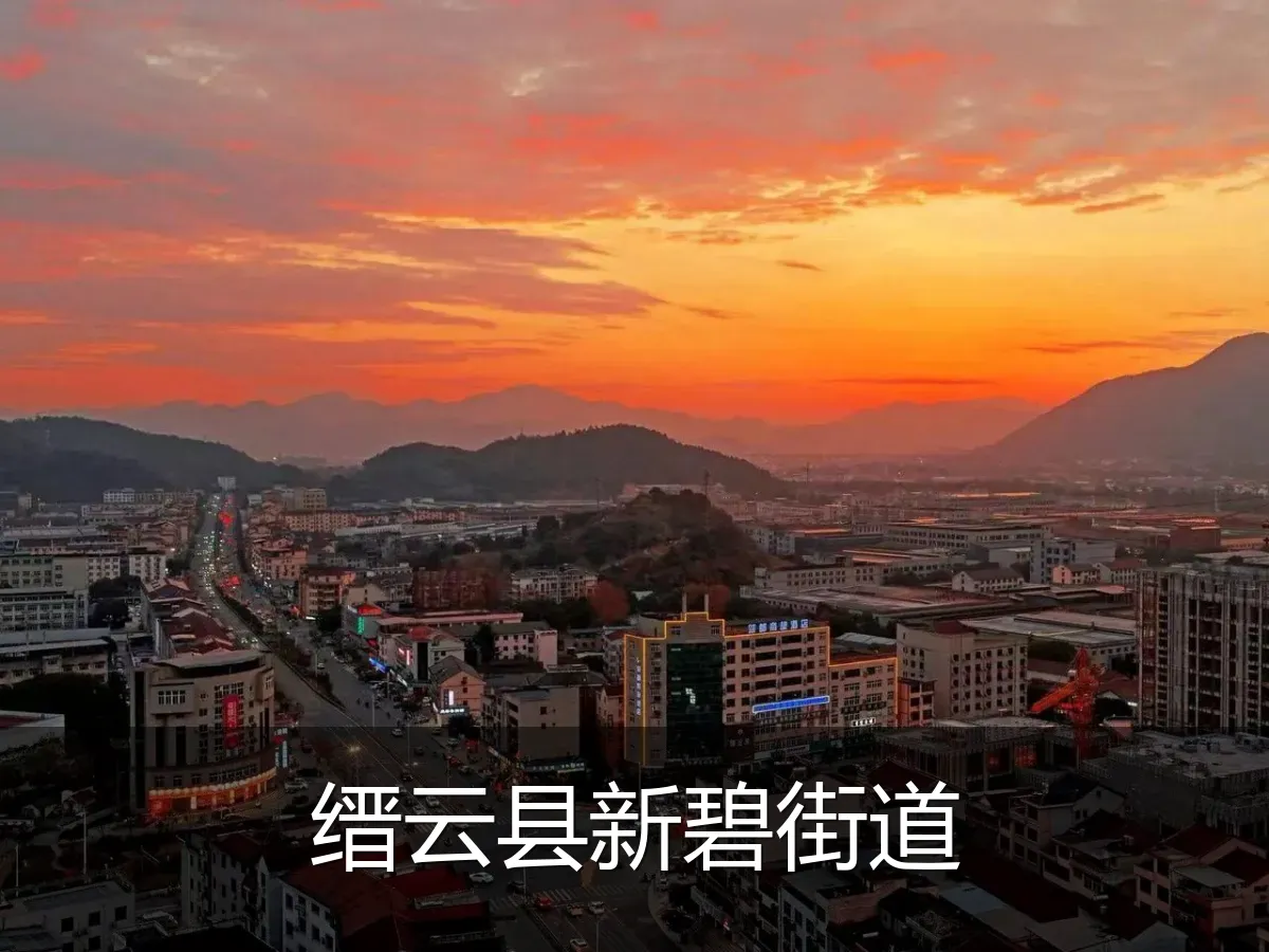 缙云县新碧街道