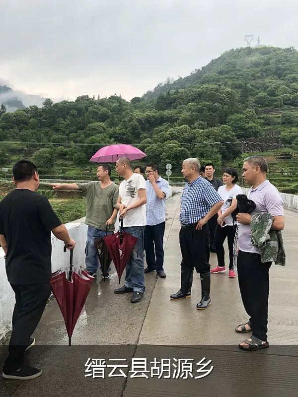 缙云县胡源乡